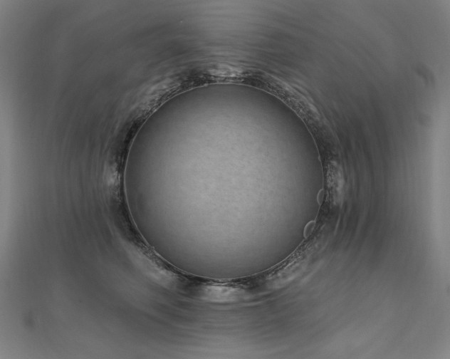 X0000112480614200908171221