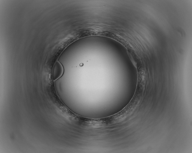 X0000112480615200908171221