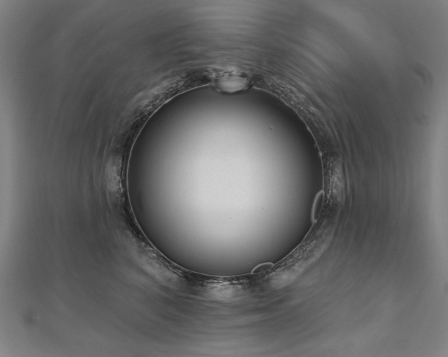 X0000112480616200908171221
