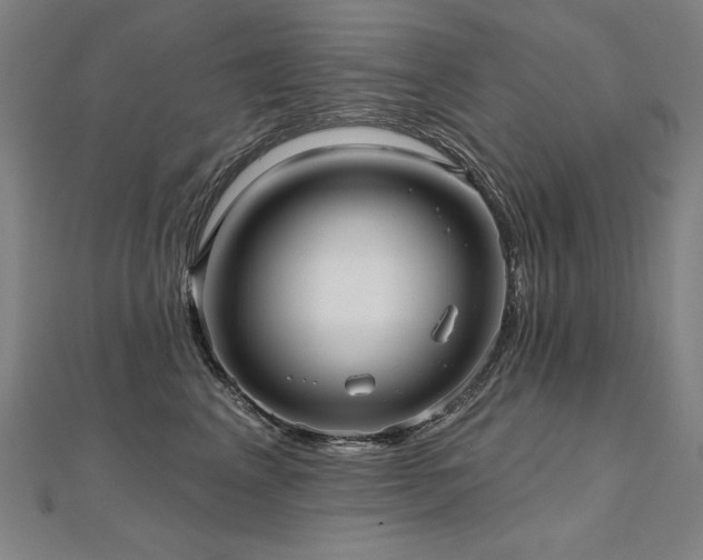 X0000112480617200908171221