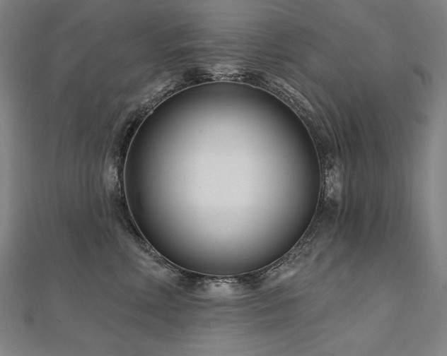 X0000112480618200908171221