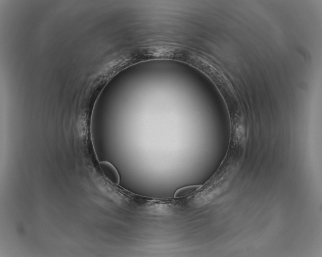 X0000112480620200908171221