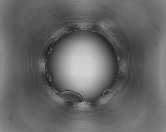 X0000112480622200908171221