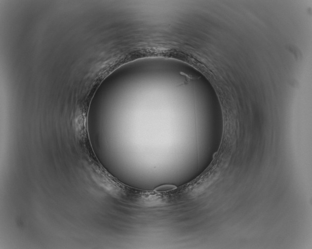 X0000112480624200908171221
