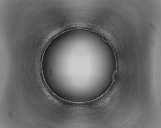 X0000112480625200908171220