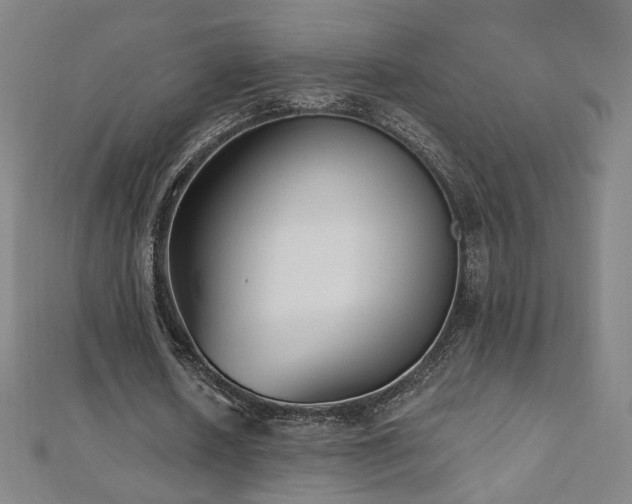 X0000112480626200908171220