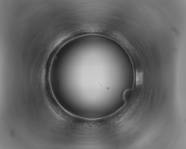 X0000112480627200908171220