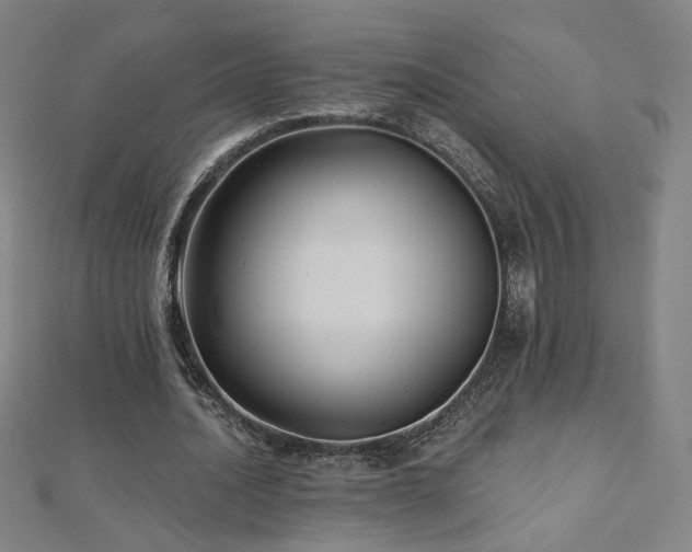 X0000112480628200908171220