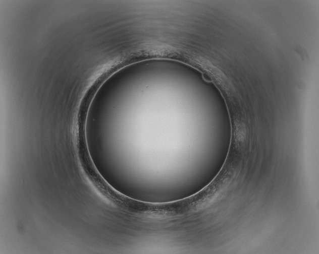 X0000112480630200908171220