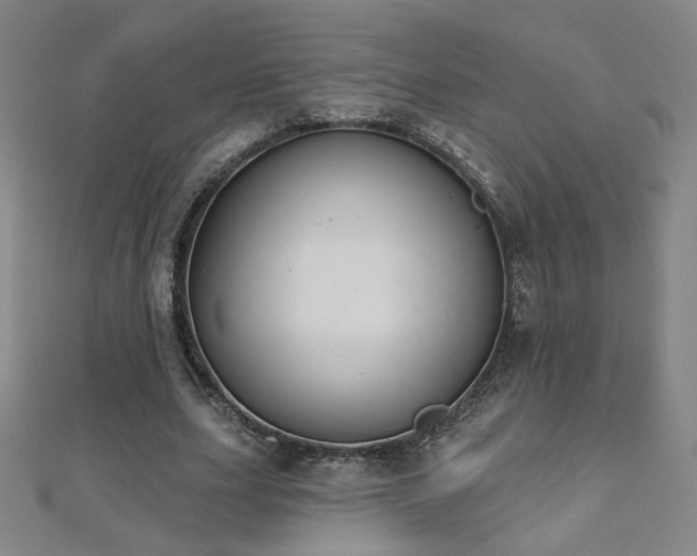 X0000112480631200908171220