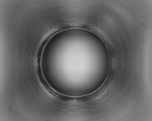 X0000112480634200908171220