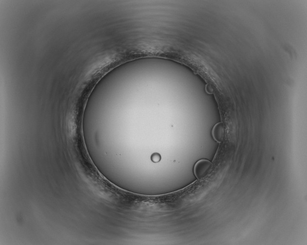 X0000112480635200908171220