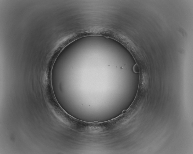 X0000112480636200908171220