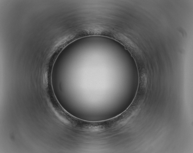 X0000112480638200908171220