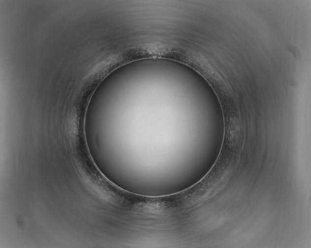 X0000112480639200908171220