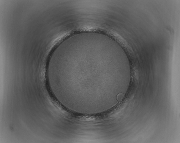 X0000112480640200908171220