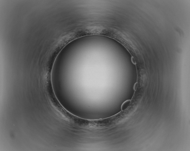 X0000112480641200908171220