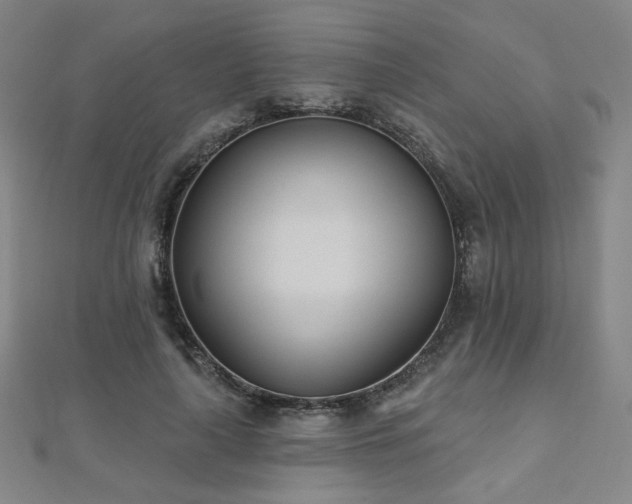 X0000112480643200908171220
