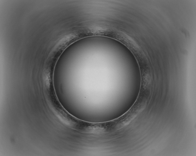X0000112480644200908171221