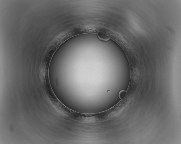 X0000112480645200908171221