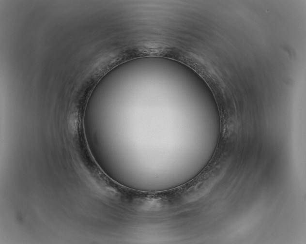 X0000112480647200908171221