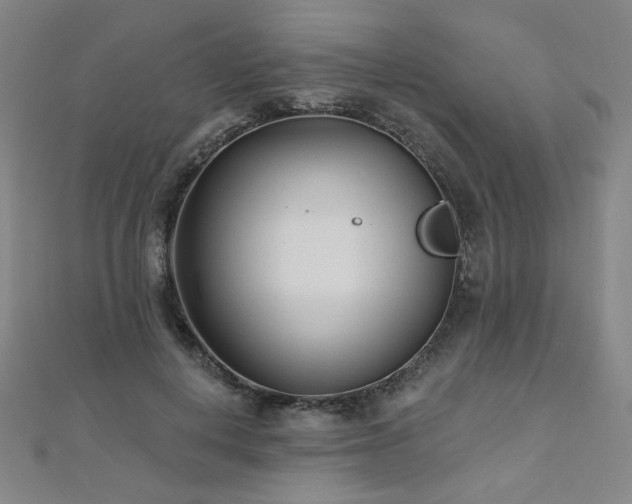 X0000112480648200908171221