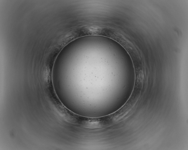 X0000112480651200908171221