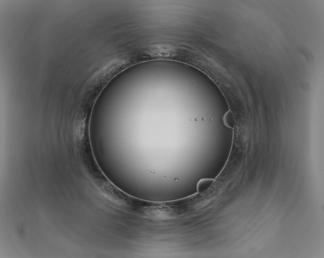 X0000112480652200908171221