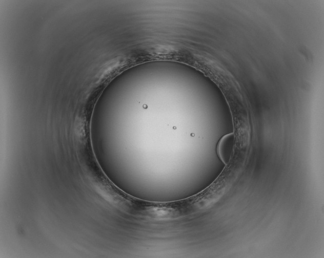 X0000112480654200908171221