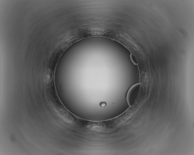 X0000112480655200908171221