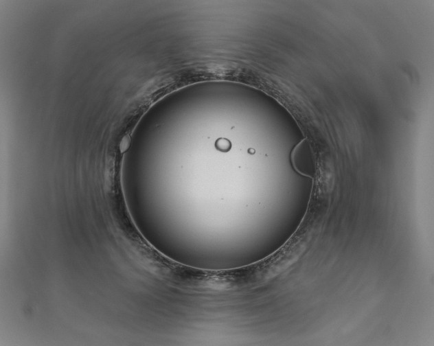 X0000112480656200908171221