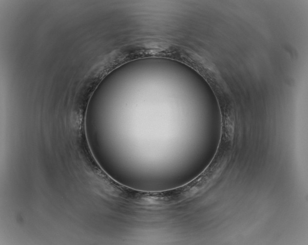 X0000112480657200908171221