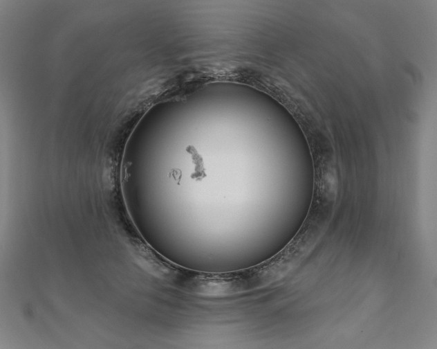 X0000112480658200908171221