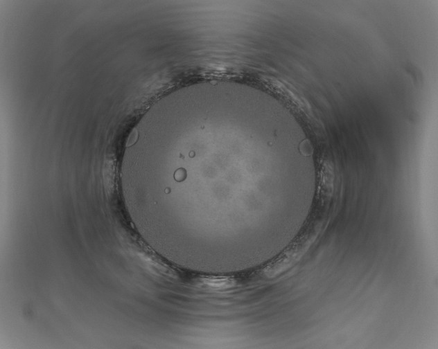 X0000112480659200908171221