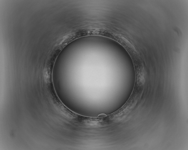 X0000112480661200908171221