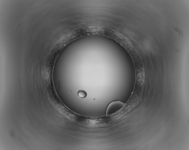 X0000112480662200908171221