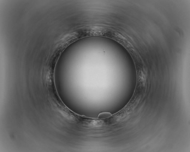 X0000112480663200908171221