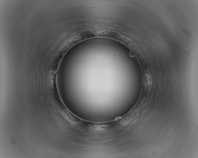 X0000112480664200908171221