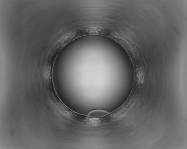 X0000112480665200908171221