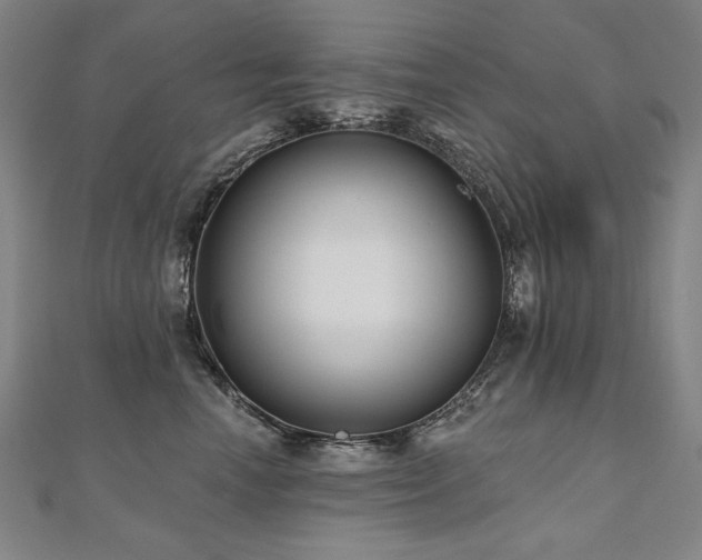 X0000112480666200908171221