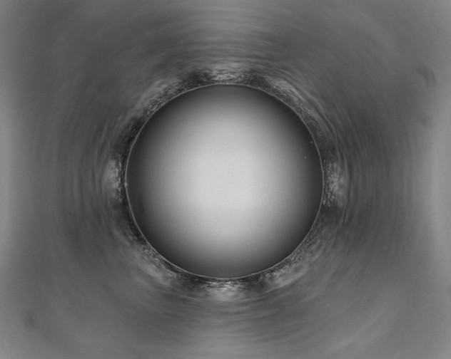 X0000112480667200908171221