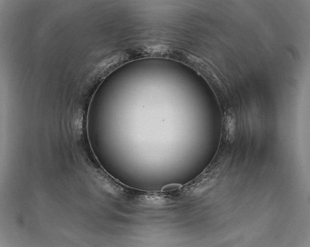 X0000112480668200908171221