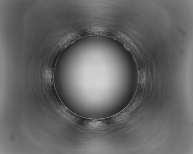 X0000112480669200908171221
