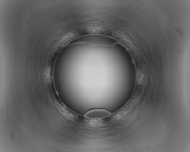 X0000112480670200908171221