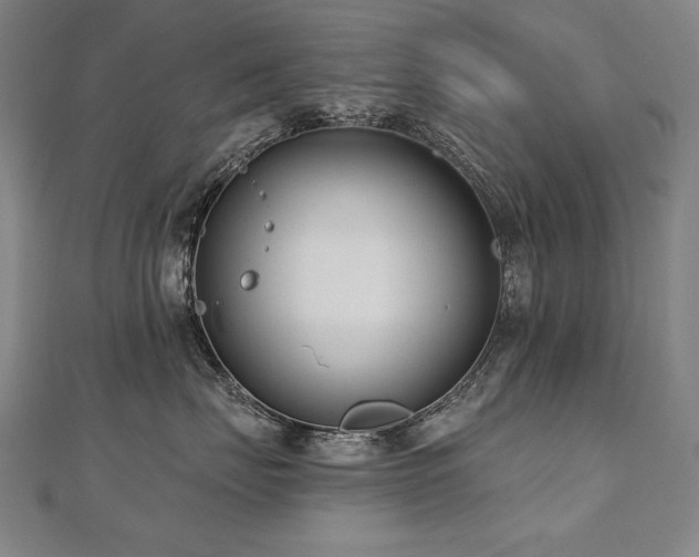 X0000112480671200908171221