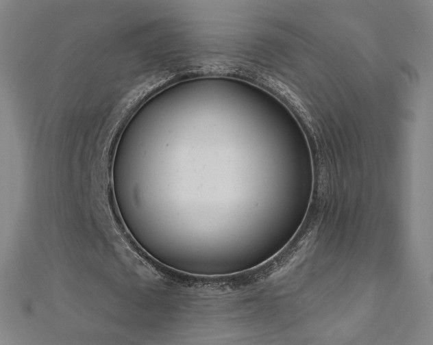 X0000112480673200908171220