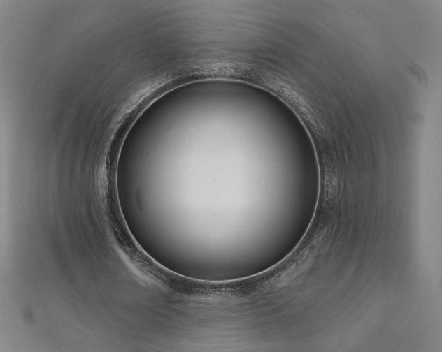 X0000112480674200908171220