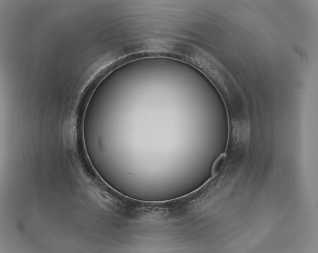 X0000112480676200908171220