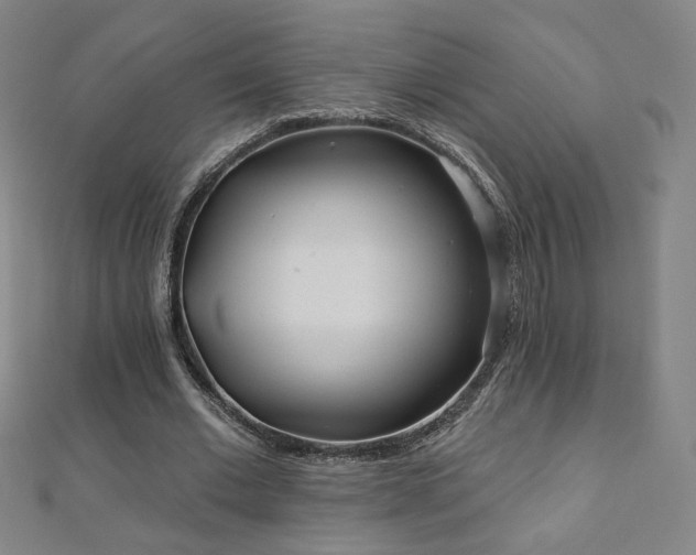X0000112480677200908171220