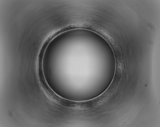 X0000112480678200908171220